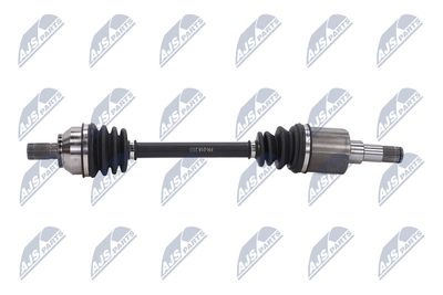 PLANETARA NTY NPWFR018 23