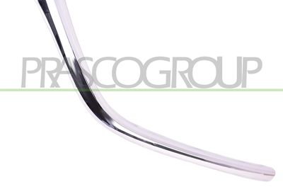 ZIER-/SCHUTZLEISTE KüHLERGITTER