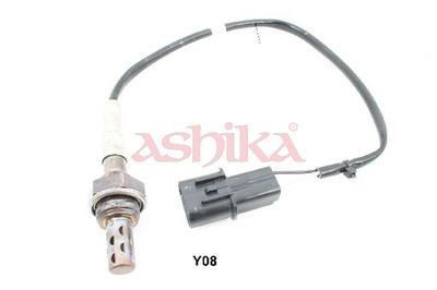 SONDA LAMBDA ASHIKA 43Y08 1