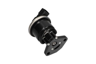 SUPAPA EGR Kavo Parts EEG2006 20