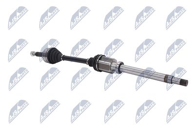 PLANETARA NTY NPWFR076 28