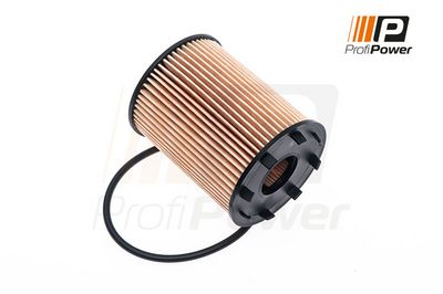 alyvos filtras 1F0043 ProfiPower