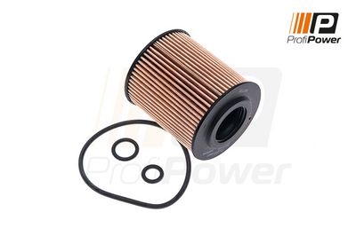 alyvos filtras 1F0139 ProfiPower