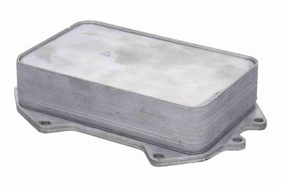 RADIATOR ULEI ULEI MOTOR VEMO V15606083 3