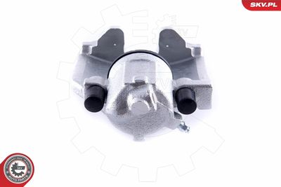 Brake Caliper 50SKV981