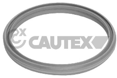 Уплотнительное кольцо, компрессор CAUTEX 751989 для VW BORA