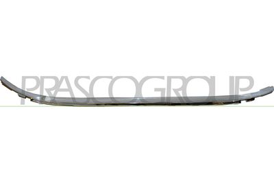 ZIER-/SCHUTZLEISTE KüHLERGITTER