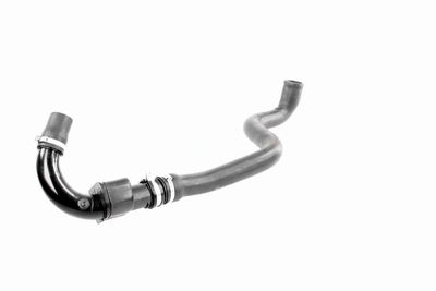 LADELUFTSCHLAUCH VAICO V460825 8