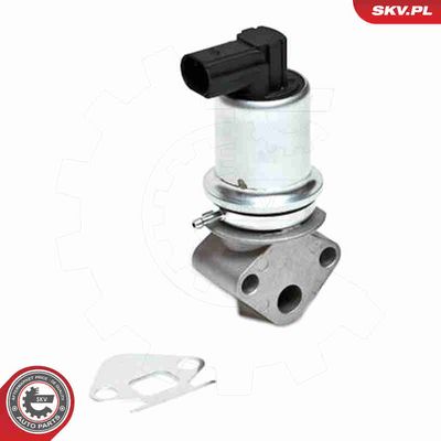 SUPAPA EGR ESEN SKV 14SKV007 4