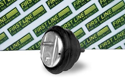 окачване, двигател FIRST LINE FEM3184