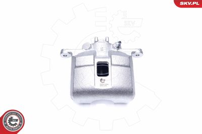 Brake Caliper 44SKV992