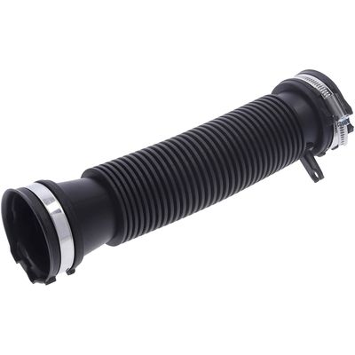 FURTUN EAR SUPRAALIMENTARE