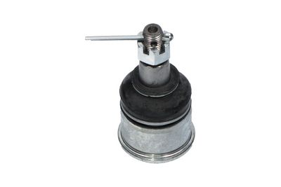 KAVO PARTS SBJ-2024 Шаровая опора  для HONDA ACCORD VII Tourer (CM, CN) 2.2 i-CTDi (CN2)