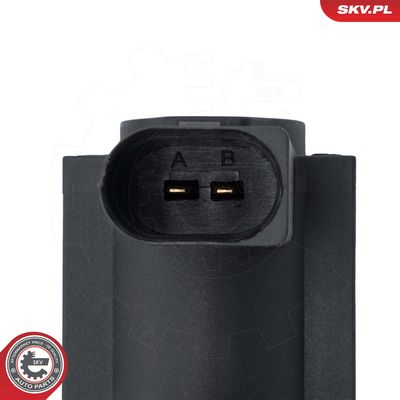 slegio keitiklis, išmetimo valdymas 14SKV971 ESEN SKV