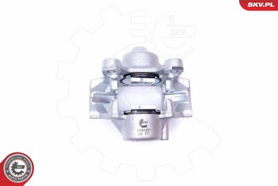 Brake Caliper 45SKV493