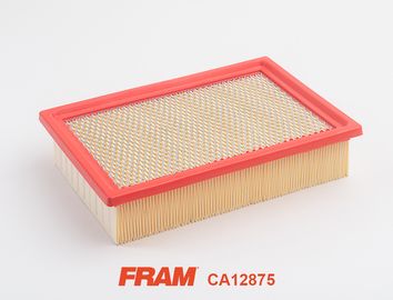 FRAM CA12875
