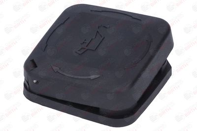 BUSON UMPLERE ULEI BIRTH 8052 11