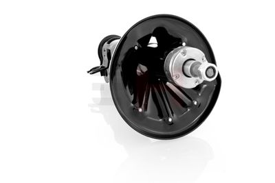 AMORTIZOR GH GH323212V 22