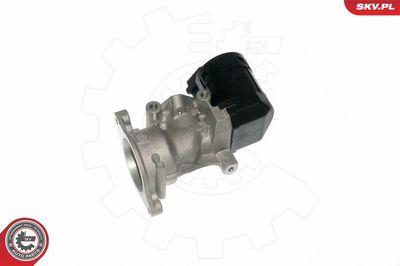 EGR Valve 14SKV057