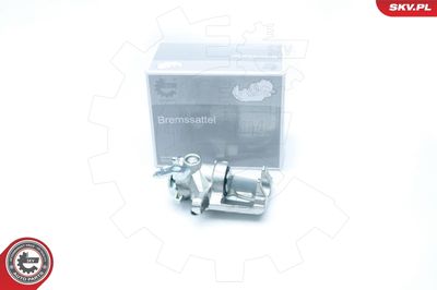 Brake Caliper 23SKV194