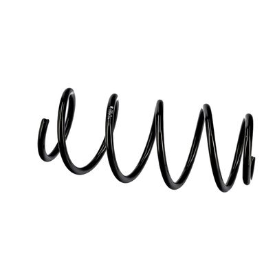 ARC SPIRAL EIBACH R10344 8