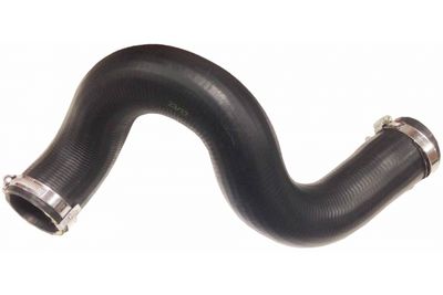 FURTUN EAR SUPRAALIMENTARE