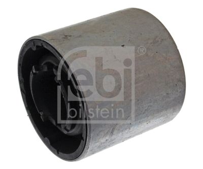 Mounting, control/trailing arm 22438