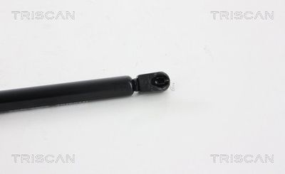 AMORTIZOR PORTBAGAJ TRISCAN 871038227 1