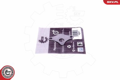 SET DE REPARAțIE SUPAPă AGR