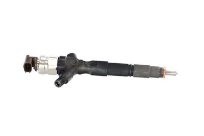 INJECTOR REMANTE 002003002073R 42