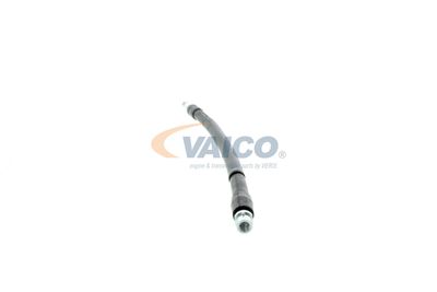 FURTUN FRANA VAICO V104223 22