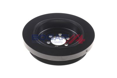 FULIE CUREA ARBORE COTIT BOGAP B1213101 1