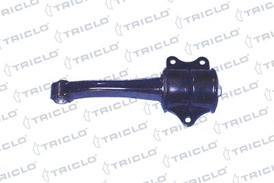 окачване, двигател TRICLO 363914