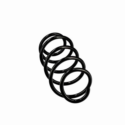 ARC SPIRAL EIBACH R10193 24