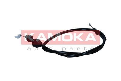 Accelerator Cable 116004