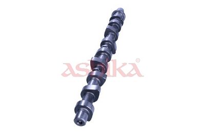 AX CU CAME ASHIKA 16TY016 1