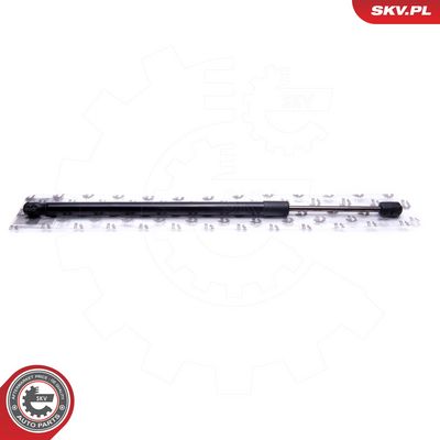 Dujinė spyruoklė, gaubtas