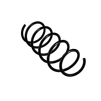 ARC SPIRAL EIBACH R10077 11