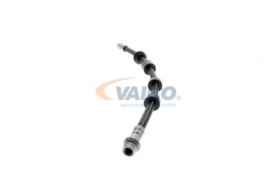 FURTUN FRANA VAICO V950481 13