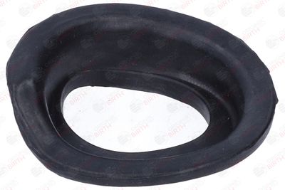 SAIBA ARC BIRTH 56745 1