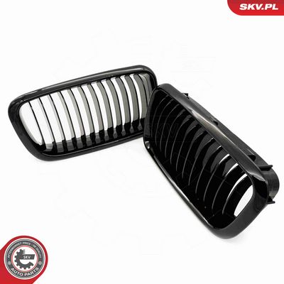 GRILA RADIATOR ESEN SKV 66SKV212 4