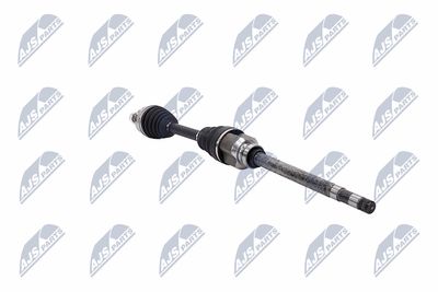 PLANETARA NTY NPWCT183 31