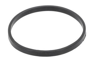 DICHTUNG ANSAUGKRüMMERGEHäUSE