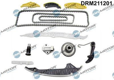 Sada rozvodového řetězu LIZARTE DRM211201