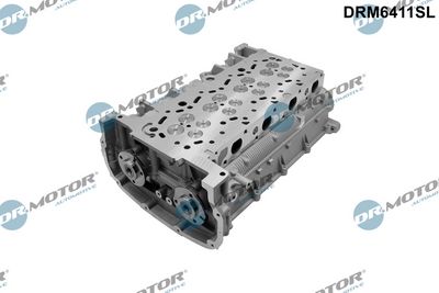 Dr.Motor Automotive Cilindro galvutė