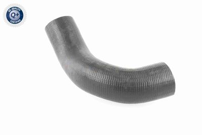 FURTUN EAR SUPRAALIMENTARE ACKOJA A380298 6