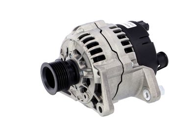GENERATOR / ALTERNATOR REMANTE 011003000110R 7