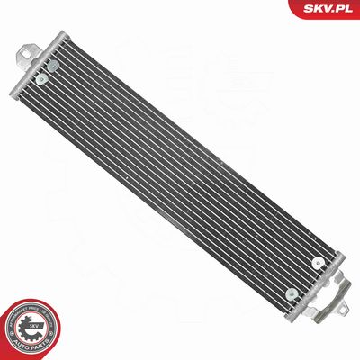 RADIATOR ULEI ULEI MOTOR ESEN SKV 31SKV356 2