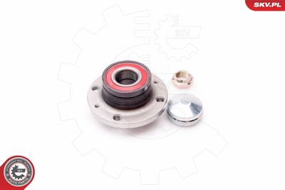 Wheel Bearing Kit 29SKV038