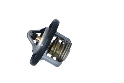 TERMOSTAT LICHID RACIRE NRF 725211 19